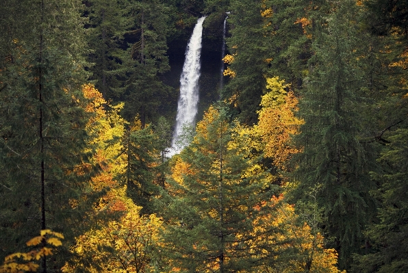 Landscape tree water nature Photo