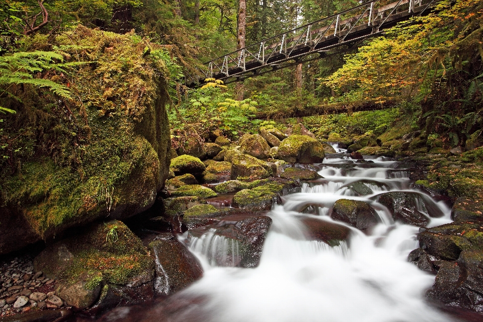 Landschaft baum wasser natur