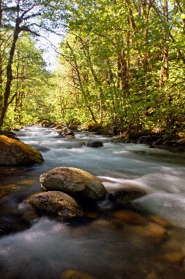 Landscape tree water nature Photo