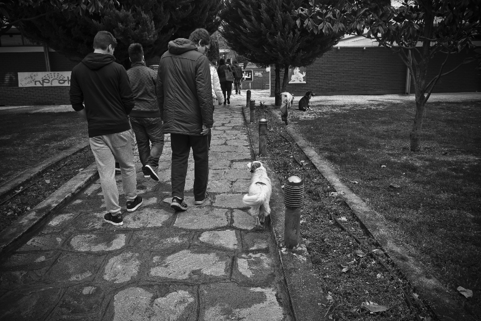 Noir et blanc
 route blanc rue