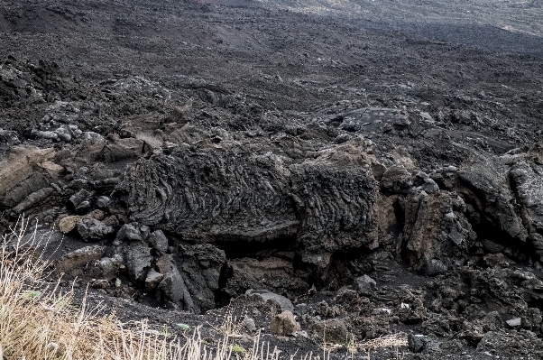 Rock wilderness wildlife soil Photo