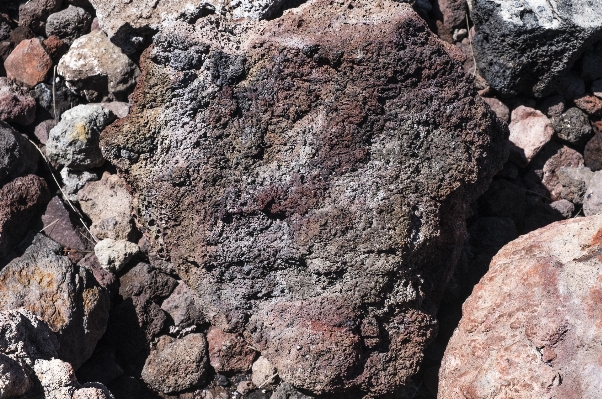 Rock flower formation soil Photo