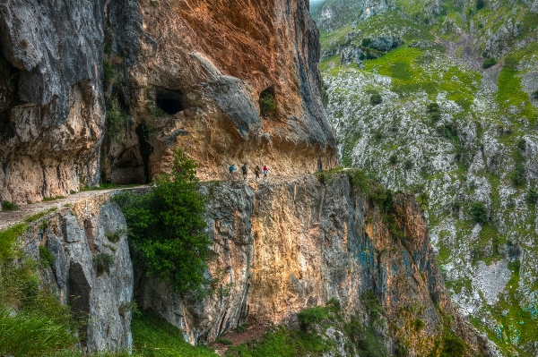 Landscape tree rock formation Photo