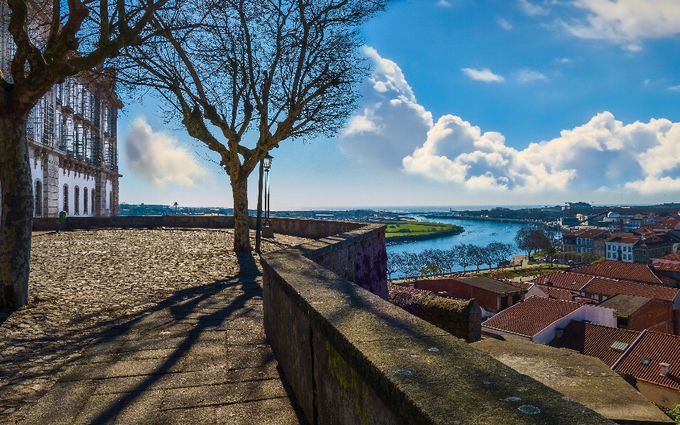 Beach landscape sea coast