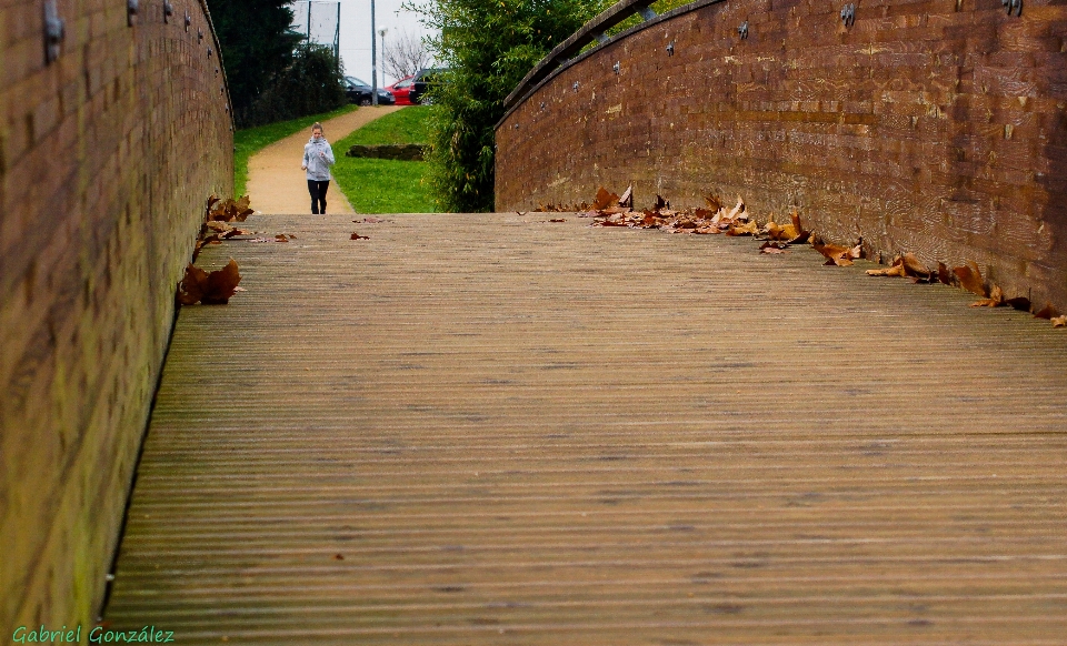 Landscape wood floor wall