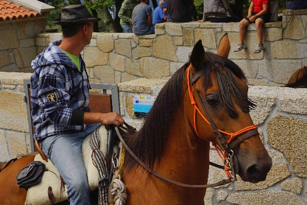 Foto Foto cavalo espanha esportes