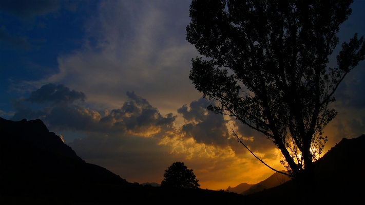 Landscape tree nature mountain Photo