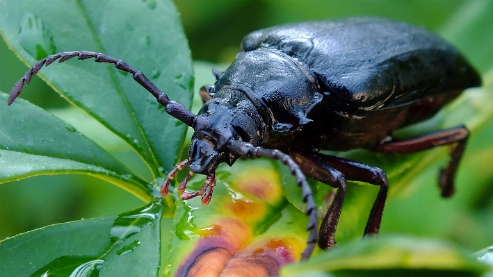 自然 写真撮影 花 野生動物 写真