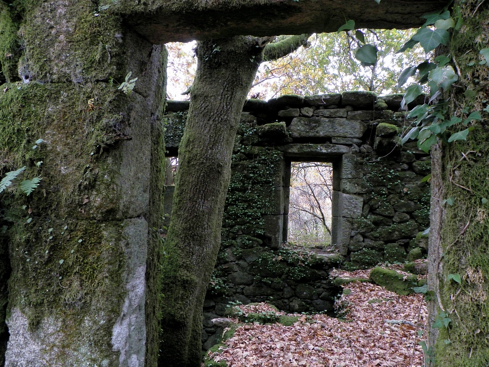 Rock edificio cappella cimitero