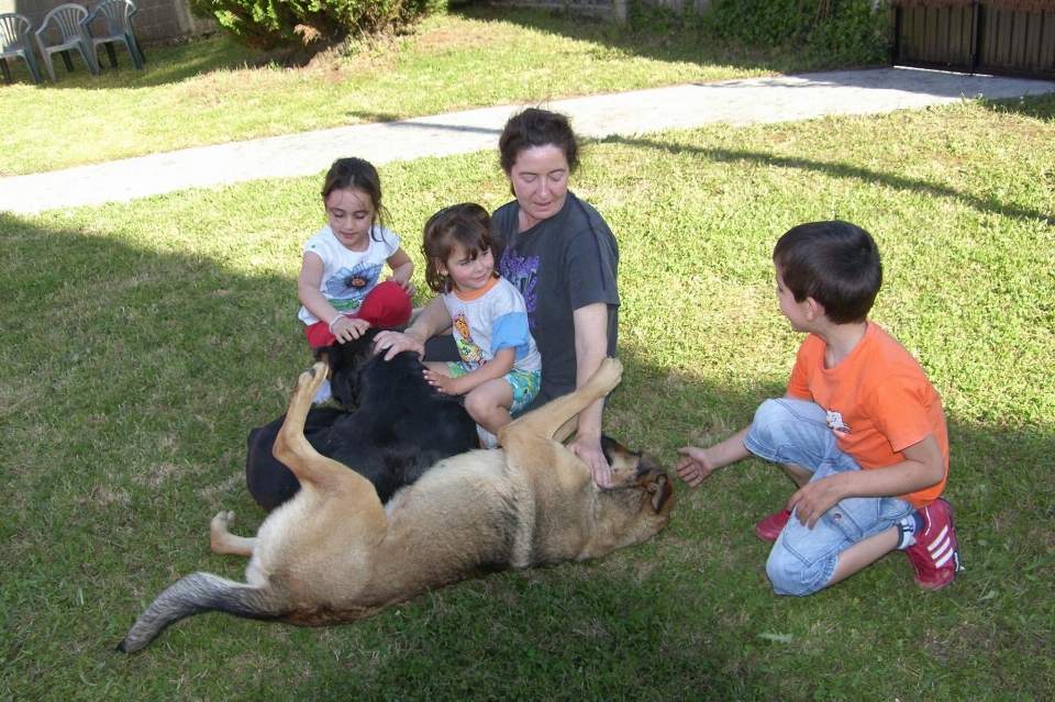 Nature play family friends