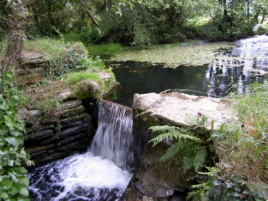 Photo Paysage eau cascade ruisseau
