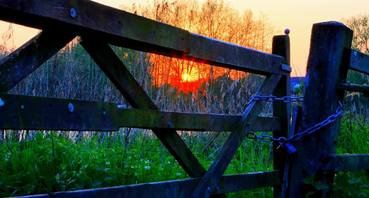 Nature grass light fence Photo