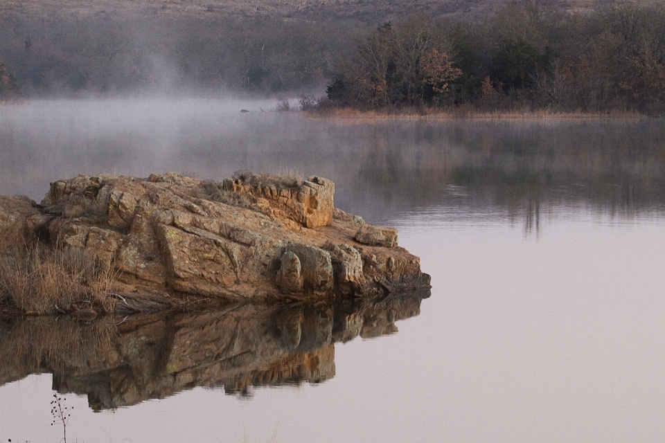 Tree water nature rock