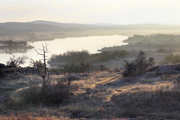 Landscape coast tree nature Photo