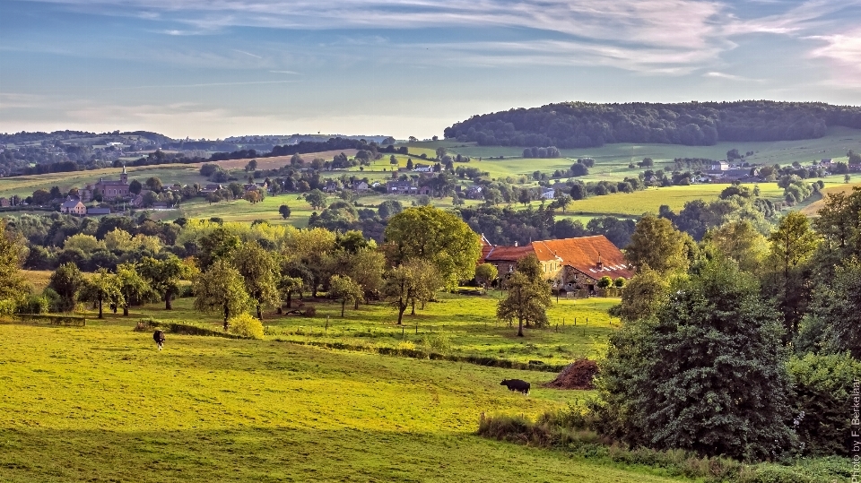 Krajobraz drzewo góra pole