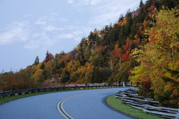 Landscape tree nature mountain Photo