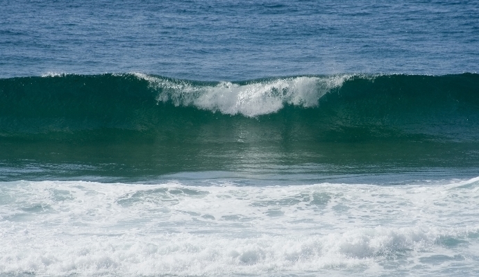 Beach sea coast water Photo