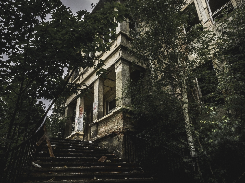 Baum haus sonnenlicht gasse