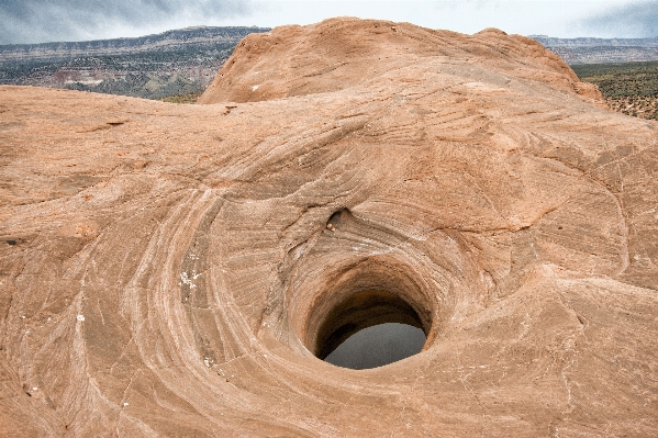 砂 rock 木 形成 写真