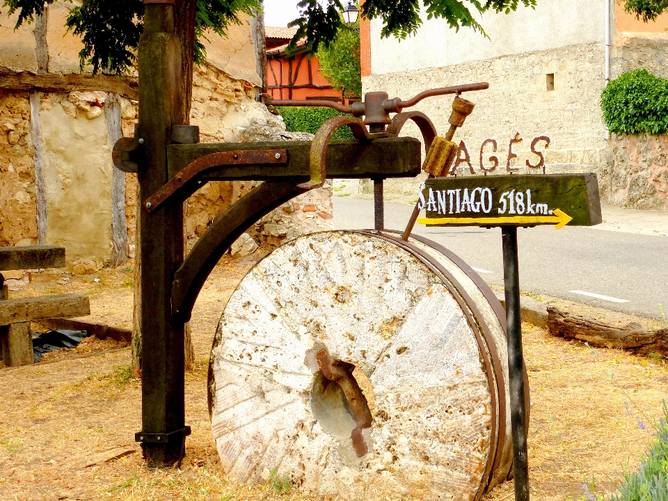 Pohon tanaman batu monumen