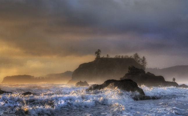 Beach sea coast rock Photo