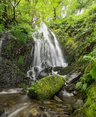 水 自然 森 滝 写真