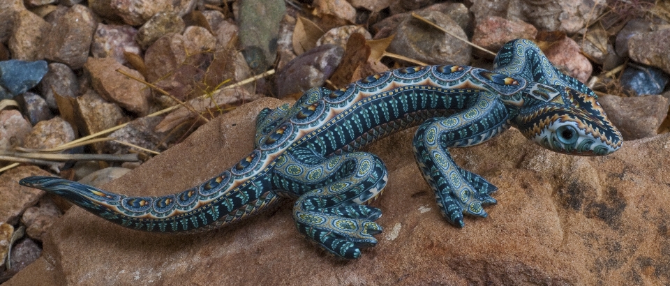 Reptil fauna kadal bertulang belakang
