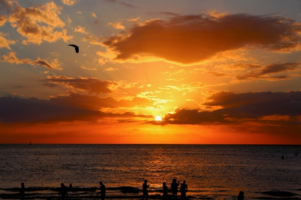 Zdjęcie Plaża krajobraz morze wybrzeże