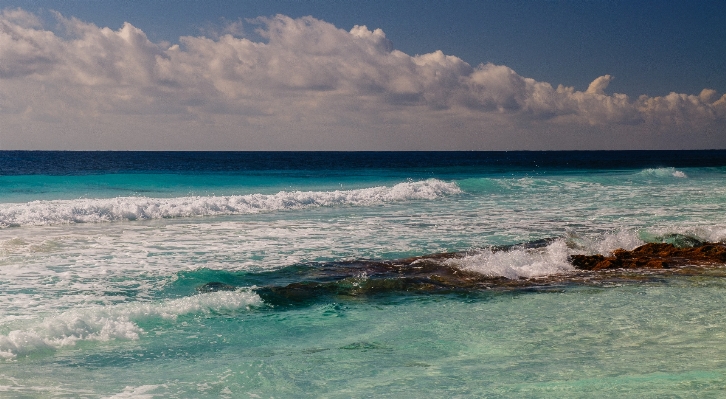 Beach sea coast ocean Photo