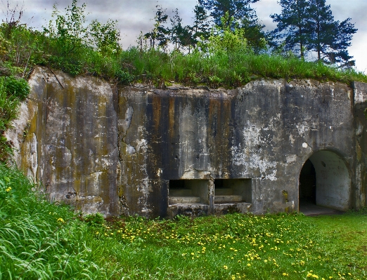 Tree wall monument fortification Photo