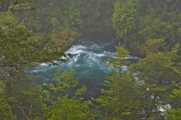 Landscape tree water nature Photo