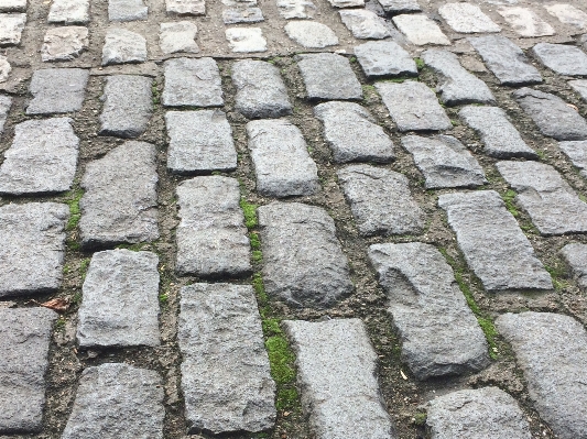 Grass street sidewalk floor Photo