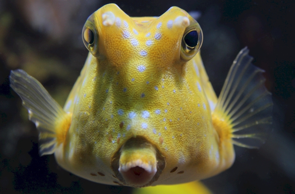 Mer nature océan sous-marin