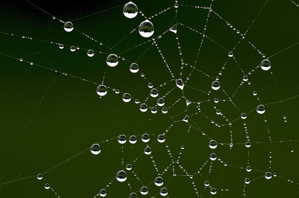 Nature dew fog railing Photo