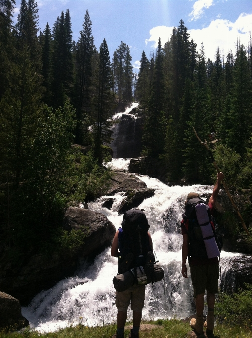 Landscape nature forest waterfall