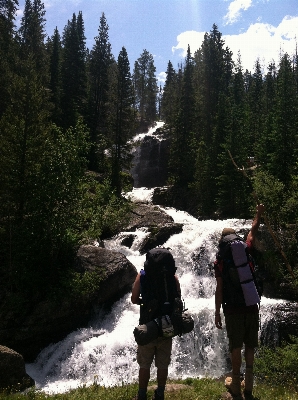 Landscape nature forest waterfall Photo