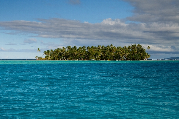 Beach sea coast ocean Photo