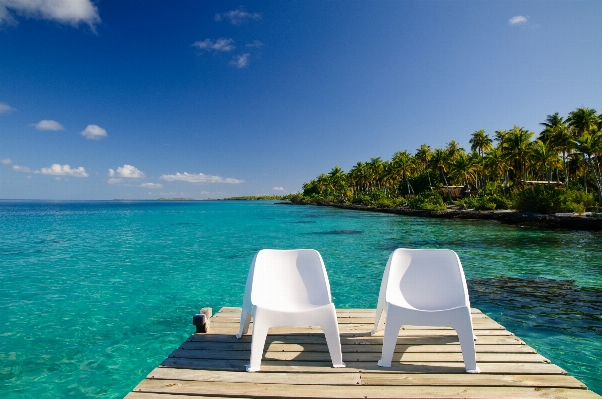 Beach sea coast ocean Photo