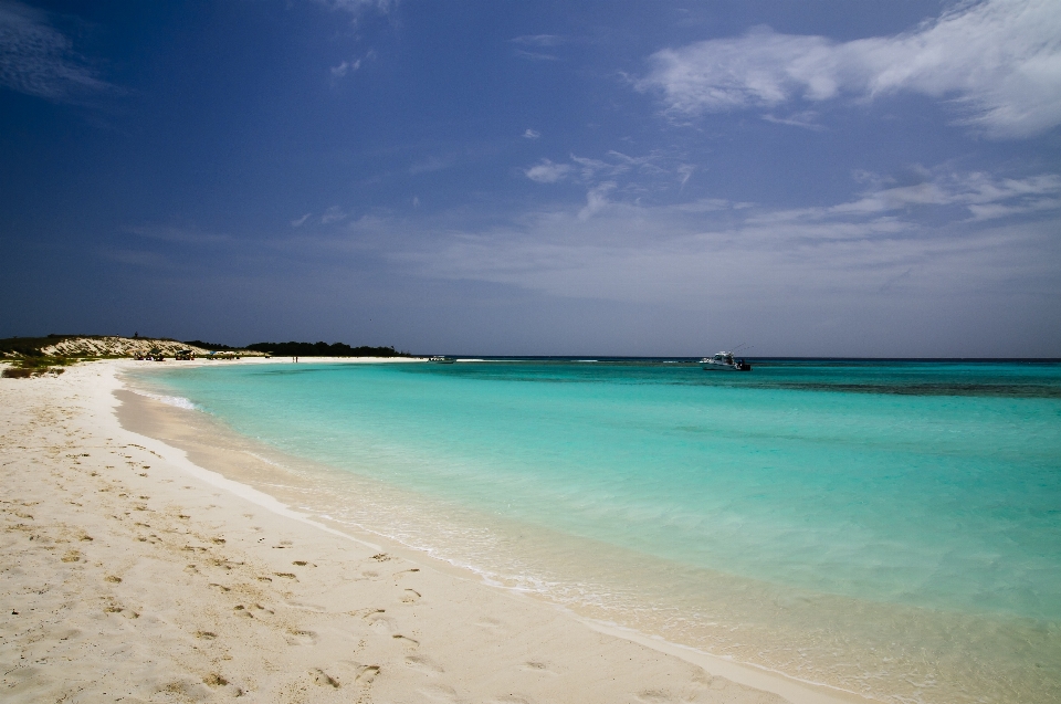 Beach sea coast sand