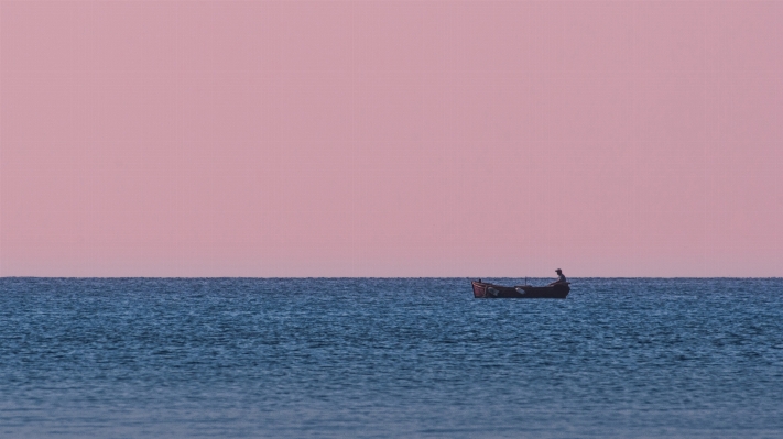 Beach sea coast water Photo