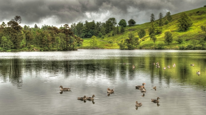 Landscape water nature grass Photo