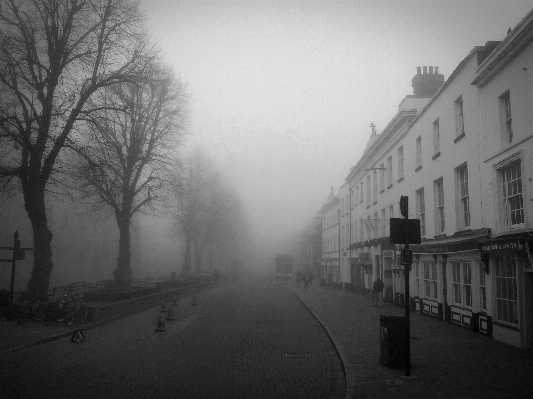 Snow winter black and white fog Photo