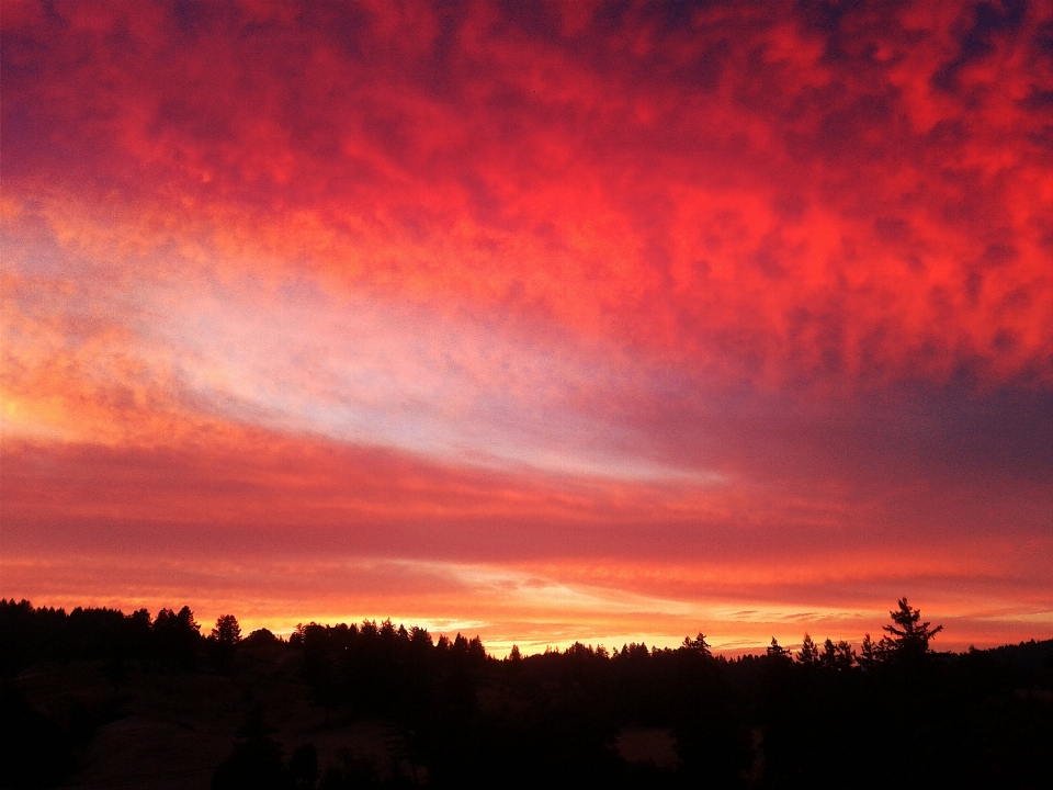 Horizont silhouette wolke himmel