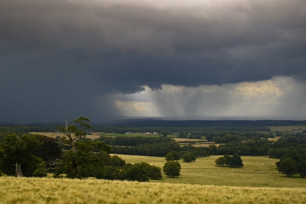 Landscape nature grass horizon Photo