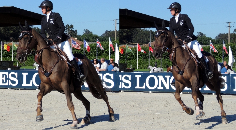 英語乗馬
 馬術
 エンデュランスライディング
 馬のハーネス
