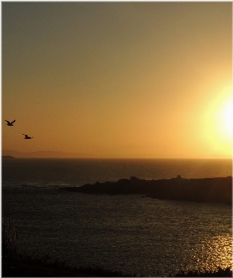 Beach sea coast water Photo