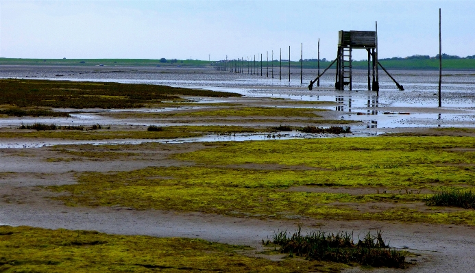 Beach sea coast water Photo