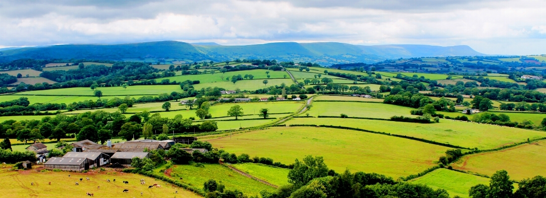 Landscape field farm meadow Photo