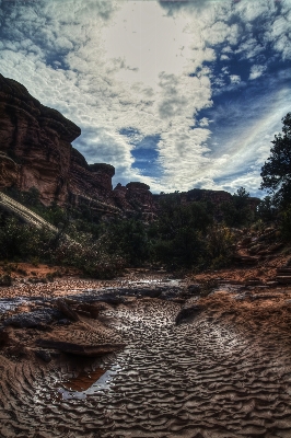 Foto Paisagem mar árvore água