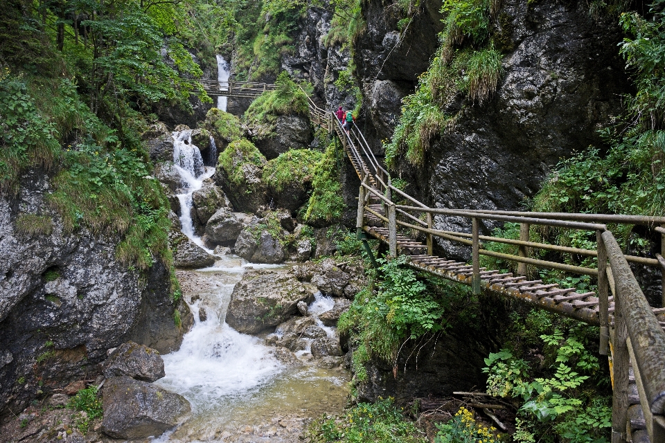 Landscape water nature forest